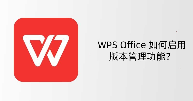 WPS Office 如何配置高级打印选项？